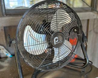 Fan