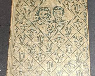 Bobbsey twins book