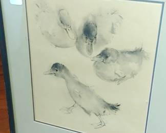Wonderful duck picture