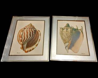 Gorgeous shell pictures and silver frame