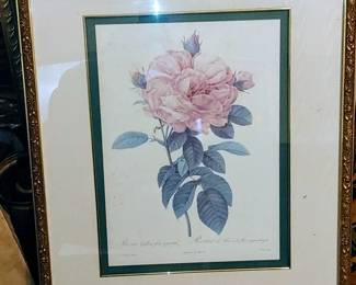 Beautiful Framed PJ Redoute Still Rose Artwork