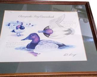 Bob Berry framed print: Chesapeake Bay Canvasback Duck
Ass in the frame is broken but the print is not damaged