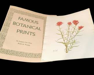 Amazing set of six Botanical prints from 1925