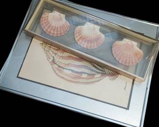 Very nice shell decor