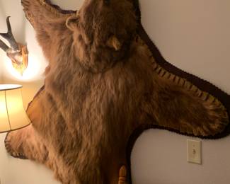 Bear skin rug