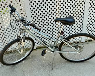 Bicycle - Diamondback Design Lustre1 (1 of 3)