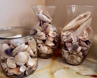 Seashells