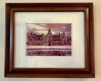 "Winter in Biltmore" - Matted and Framed Wall Art - Teresa Pennington