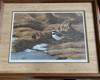 Matted & Framed Lithograph "Spring Shaw Killdeer" by Robert Bateman 1973 139/950