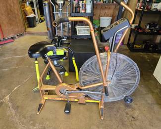Schwinn Air-Dyne Stationary Bike Exerciser