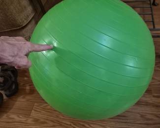 one of those exercise balls. $10