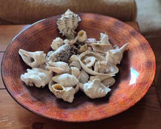 a very cool coffee table dish with the shells $15