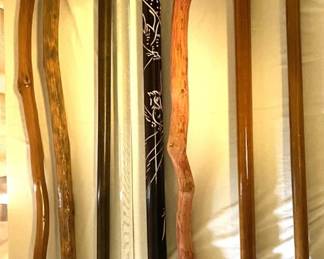 Variety of walking canes