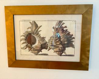 Pair of Copper Framed Sea Shells $90 each