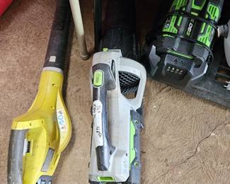 Electric blowers