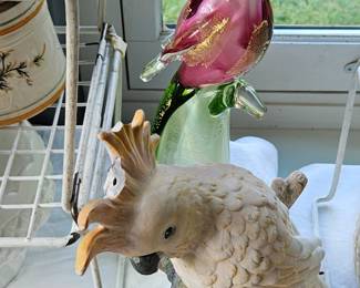 More parrots