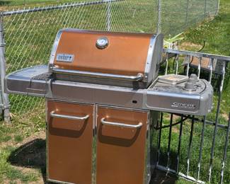 Weber Grill