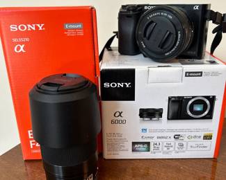 Sony SEL55210 and CX6000