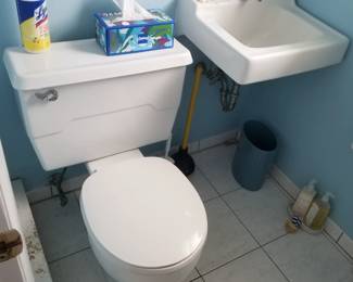 Old school commode; petite sink