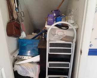 Stepladder & household aids