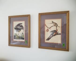 Vintage Audubon bird prints