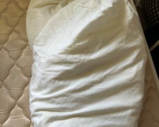 Twin Sheet $2.00