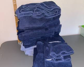 12 Blue Towels $12.00