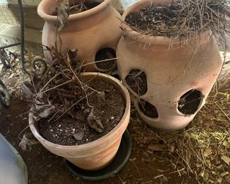 Strawberry pots