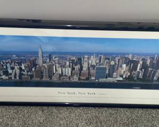 New York City yard long