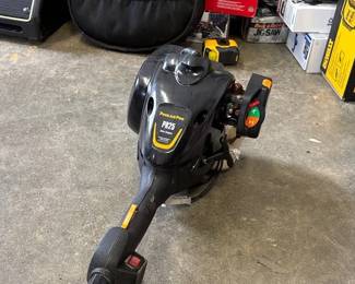 PoulanPro PR25 Pole Saw