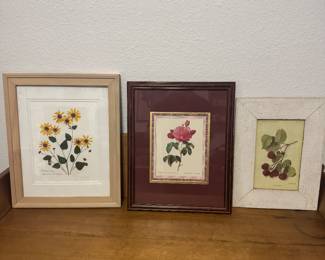 Botanical Art both vintage and retro