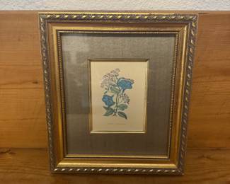 Vintage Botanical Art
