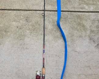 CG105VDaiwa Pole And Reel