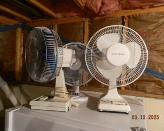 fans