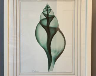 Framed Giclee Print, Signed Albert Koetsier