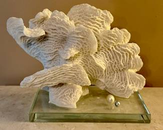 Coral on Glass Stand