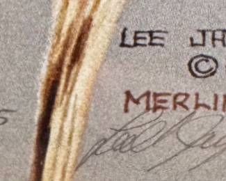 detail