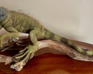 Iguana Sculpture