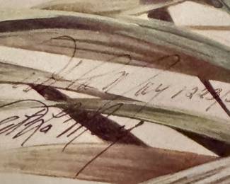 artist detail