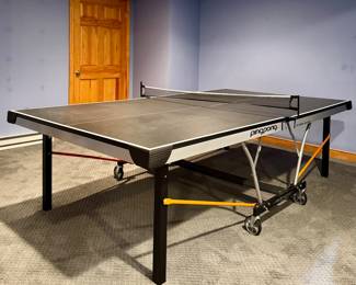 Ping Pong Table
