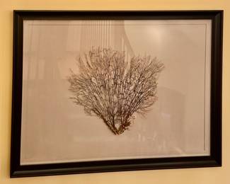 Restoration Hardware Preserved Sea Fan