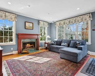 LIGHTLY USE3D CONTEMPORARY MODERN SOFA, Vintage Karastan carpet!