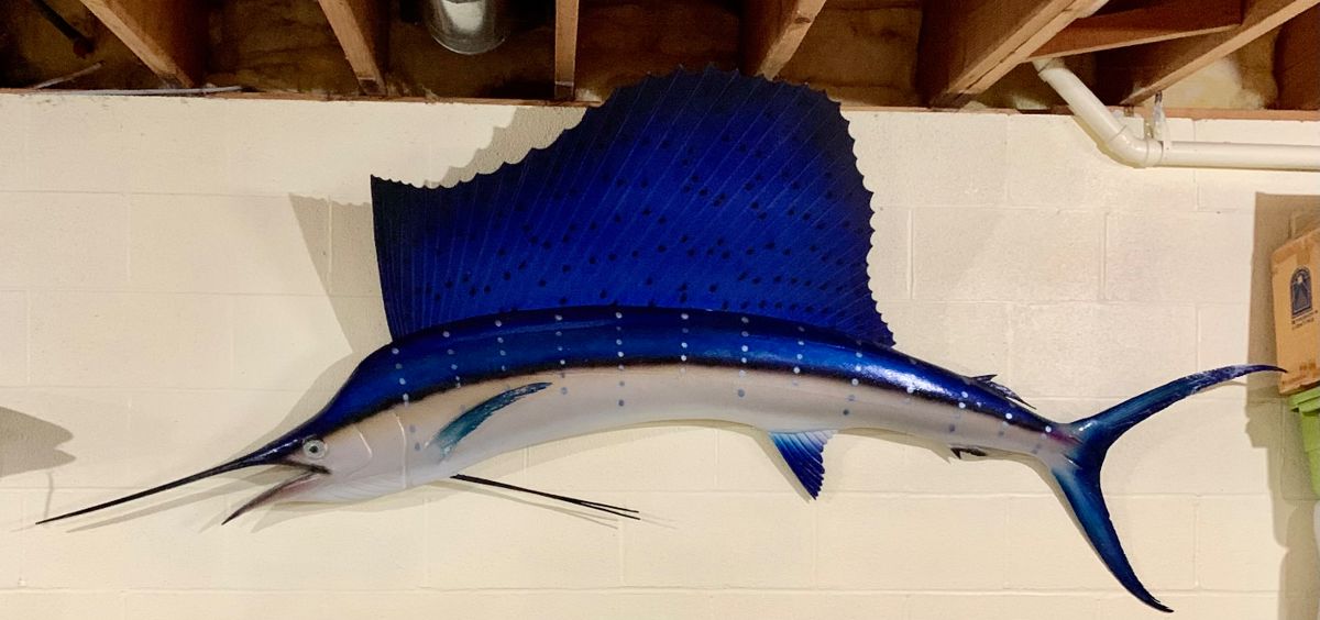 Outstanding Marlin fish taxidermy, caught by the Matriarch of the family