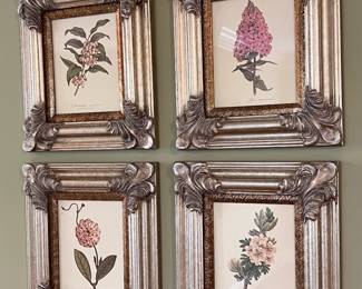 Framed botanicals