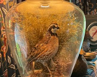 Taxidermy gamebird lamp