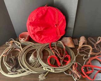 Variety of Roping Gear