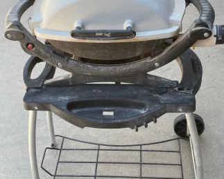 Weber Portable Gas Grill