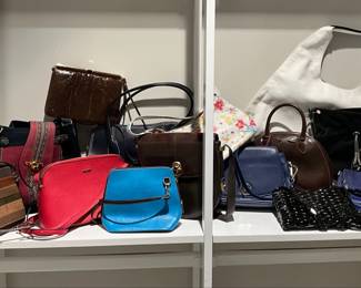 Fun Purses