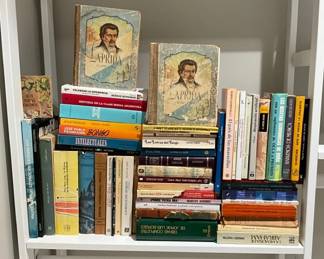 Multilingual Books