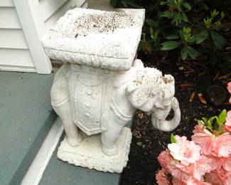 Elephant